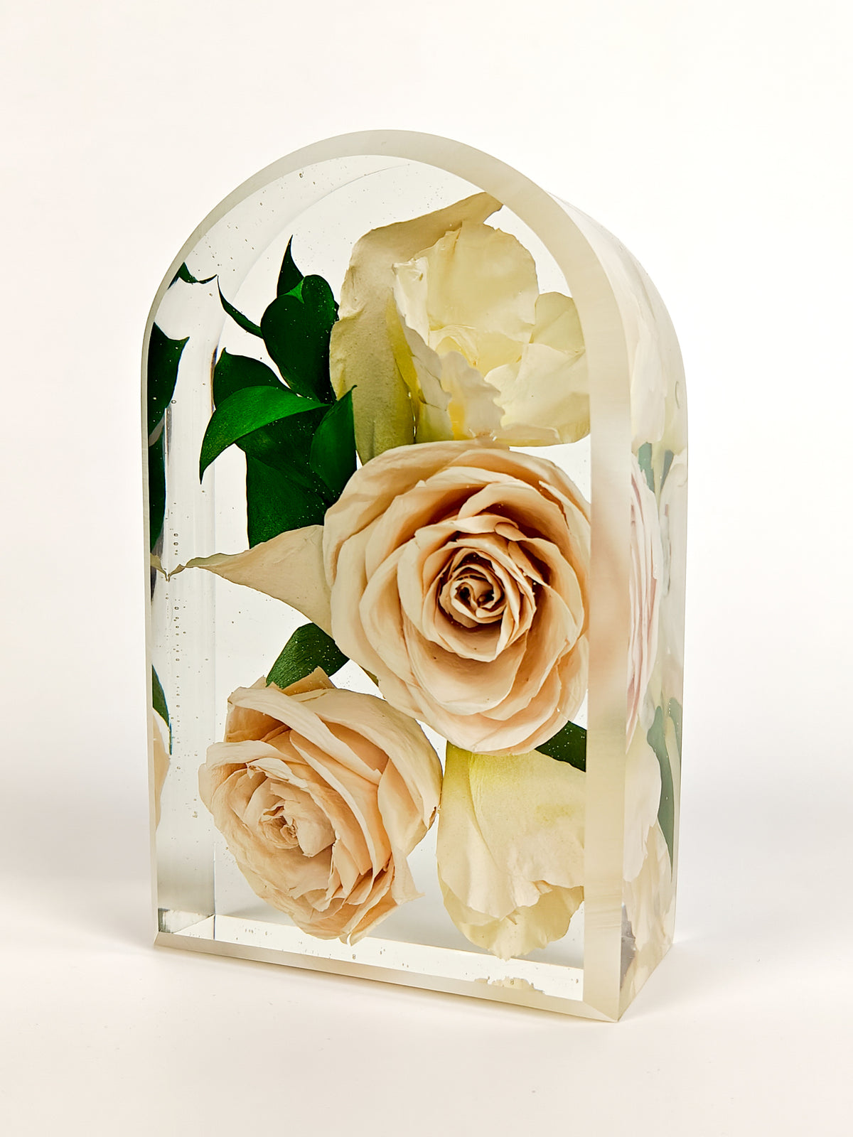 A clear arched resin keepsake block containing three preserved cream-colored roses with green leaves, photographed on a clean white background.