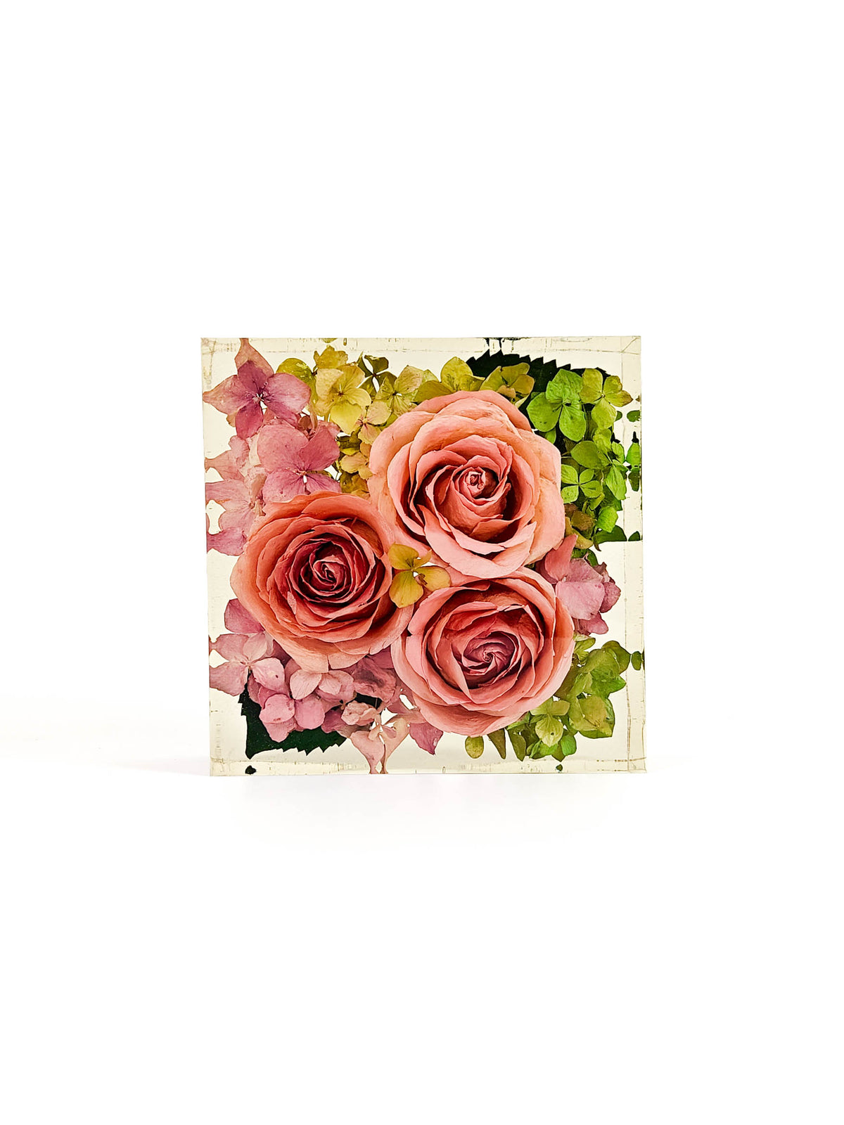 A square floral art print or card featuring three pink roses, pink hydrangeas, and green hydrangea blooms on a cream background, photographed against a plain white studio backdrop.